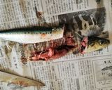 イワシのまぜ寿司作り方4写真
