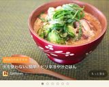 火を使わない♪簡単！ピリ辛冷や汁ごはん作り方9写真