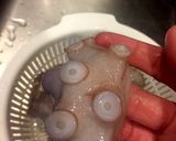 タコを柔らかく茹でる方法！ほうじ茶仕立て作り方3写真