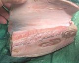 マグロのトロの端肉でねぎまみれ焼き作り方2写真
