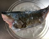 家で焼くカツオのたたき♪夏はコレ！作り方6写真