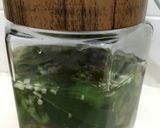 万願寺唐辛子の酢漬け（長期保存可）作り方6写真