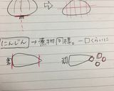 カレーライス "王道の簡単カレー"作り方1写真