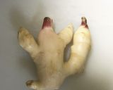 ベーコンDE焼きビーフン作り方3写真