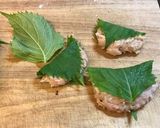 シソ巻き鶏メンチ作り方2写真