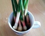 生姜の醤油漬け作り方2写真