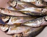 釣ったアジコで②唐揚げ〜塩味〜作り方2写真