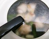 フライパンで簡単♪さっぱり塩だれチキン作り方7写真