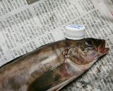 安全！キレイ♪簡単☆魚のウロコ取り☆作り方1写真