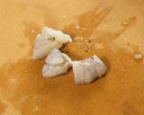 薬膳・魚貝出汁満載パスタ等3種盛り作り方4写真
