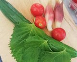 みょうが キュウリ のさっぱり甘酢あえ作り方1写真