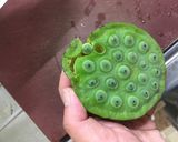 蓮ごはん作り方1写真