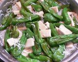 シシトウと高野豆腐のしらす干し煮作り方10写真