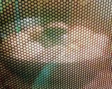 味噌マヨの千切パン作り方6写真