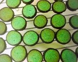 【チョコミン党】チョコミントサブレ作り方22写真