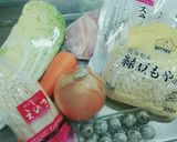 簡単おいしい八宝菜作り方1写真