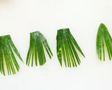 刺身でカルパッチョ【サーモン】作り方2写真