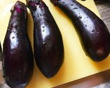 茄子と塩だけ！火も鍋も使わない塩揉み茄子作り方1写真