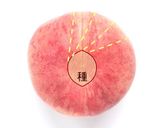 種が取れない硬い桃の切り方作り方18写真