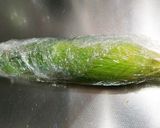 レンジで簡単！一番美味しいトウモロコシ！作り方3写真