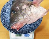 高知県コロ鯛のかぶとイタリアン焼き姉御家作り方1写真