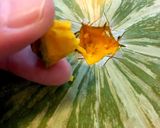 かぼちゃの切り方＊力いらずです！作り方7写真
