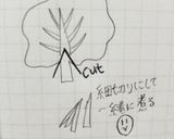 我が家のロールキャベツ(^q^)作り方1写真