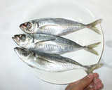 基本のアジの塩焼き♪簡単作り方4写真