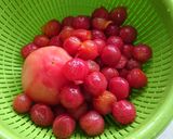 畑の野菜丸ごと消費！夏野菜のトマト煮作り方1写真