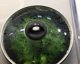 我が家の常備菜、じゃこピーマン。作り方2写真