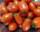 生トマトでトマトソース作り方1写真