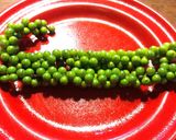 生胡椒の塩漬け作り方1写真