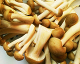 土鍋で簡単！きゃべつと厚揚げの煮物作り方3写真