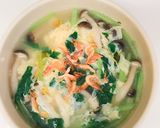 野菜の出汁スープを使ったヘルシー雑炊作り方9写真