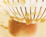 ぶどうと砂糖だけの簡単ぶどうジャム作り方13写真