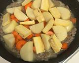お父さんのあまり失敗しないカレー作り方7写真
