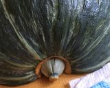 失敗しないフライパンで南瓜の煮物作り方4写真