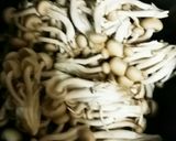 高野豆腐と茎わかめとしめじの煮物　お弁当作り方2写真