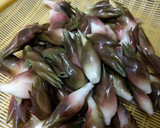 みょうがと青紫蘇の実漬け♪作り方1写真