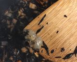 我が家のひじきの煮物♡作り方6写真