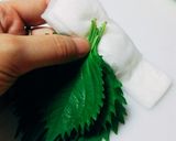 【龍愛】大葉の保存方法作り方2写真
