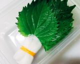 【龍愛】大葉の保存方法作り方4写真
