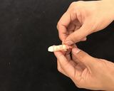 甘エビの刺身作り方4写真