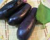 レンジで簡単☆お茄子のおひたし作り方1写真
