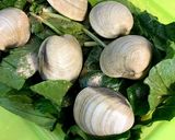 ルクエでホンビノスと小松菜の煮浸し作り方2写真