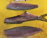 元魚屋が教える！コハダの酢〆作り方7写真