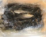 元魚屋が教える！コハダの酢〆作り方11写真