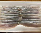 元魚屋が教える！コハダの酢〆作り方12写真