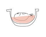 記録用【煮魚】おばあちゃん直伝作り方2写真