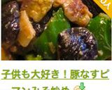 子供も大好き！豚なすピーマンみそ炒め作り方11写真